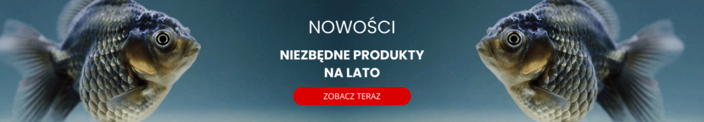 nowosci
